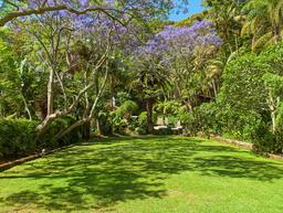 meadows-palm-beach-1