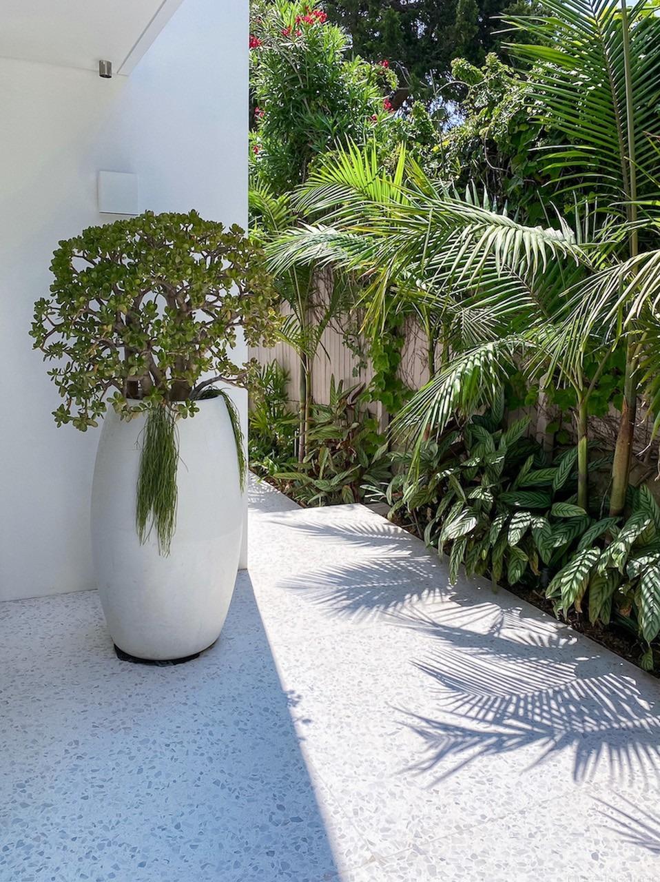 eastern-suburbs-sydney-villa-dunes-delight-vaucluse-34