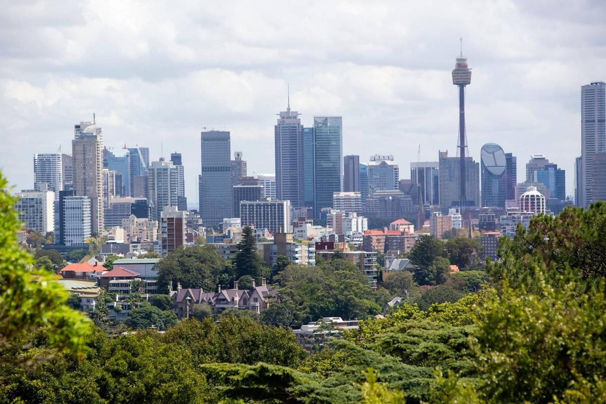 villa-persona-bellevue-hill-24