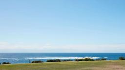 isadoras-apartment-coogee-5
